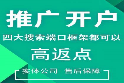 竞价SEM策略在金融行业的成功实践